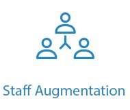 Staff Augmentation